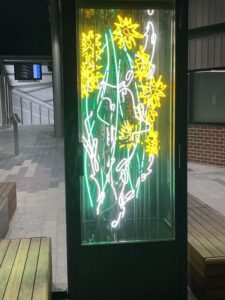 Glen Huntly flower light artwork at night at entranceway